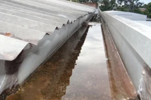 desentupimento de calhas e aguas pluviais